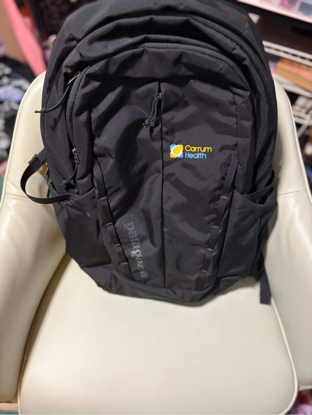 Patagonia Black Backpack
